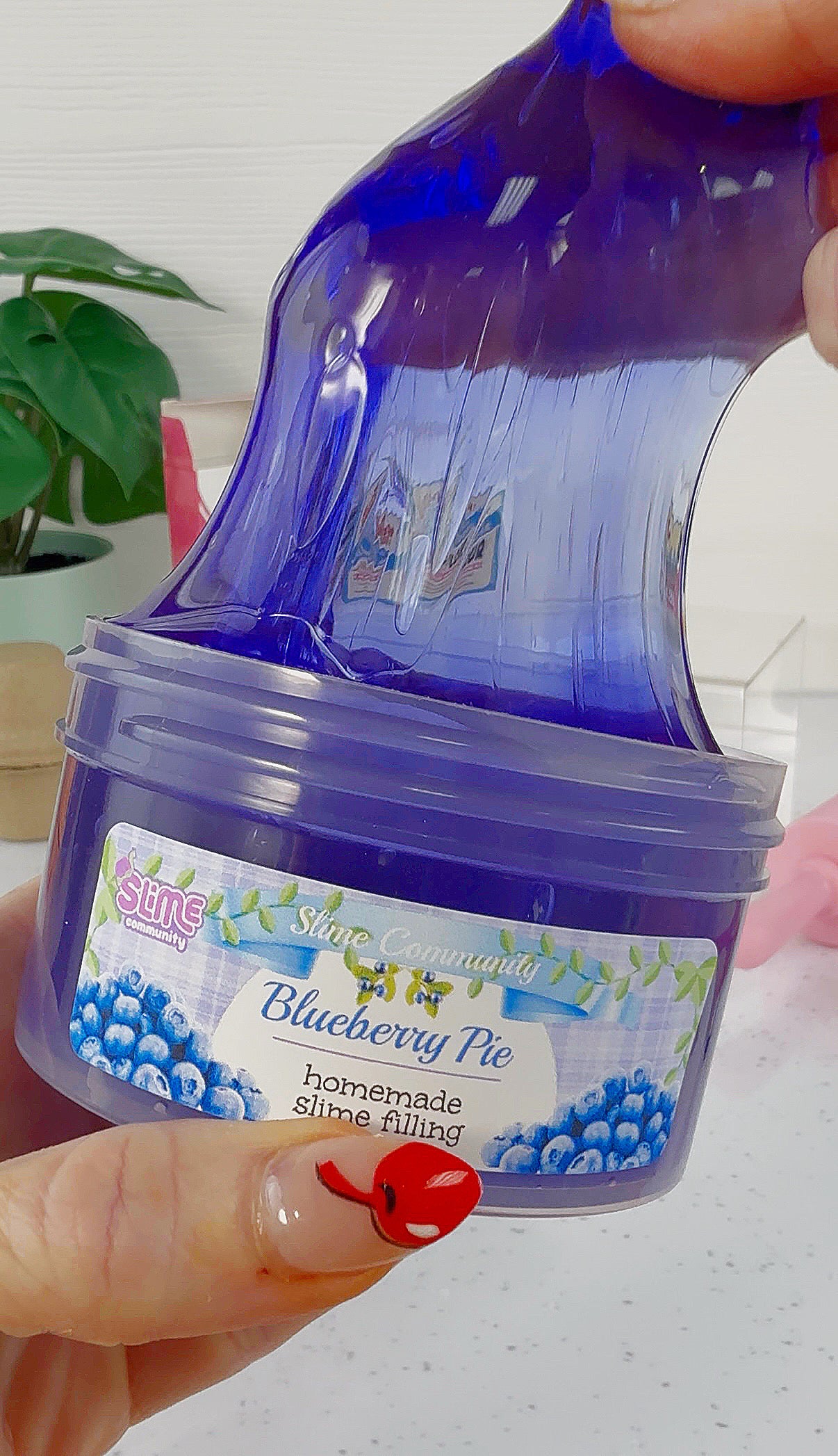 Slime Baking Kit-Poppable Yolk Blueberry Pie