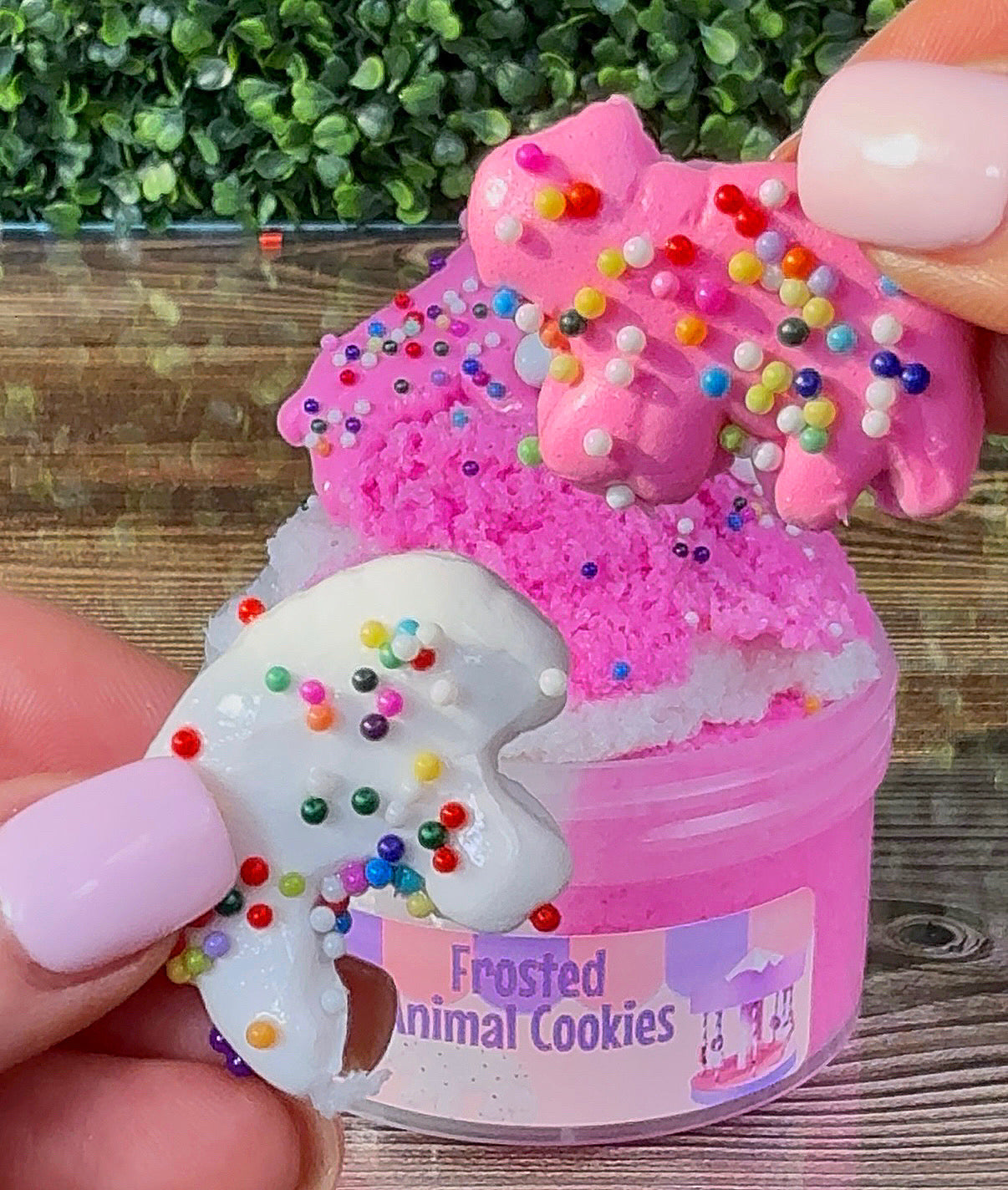 Frosted Animal Cookies