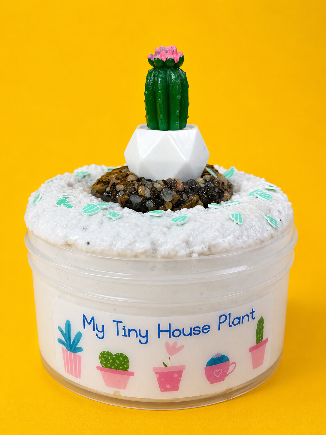 My Tiny House Plant