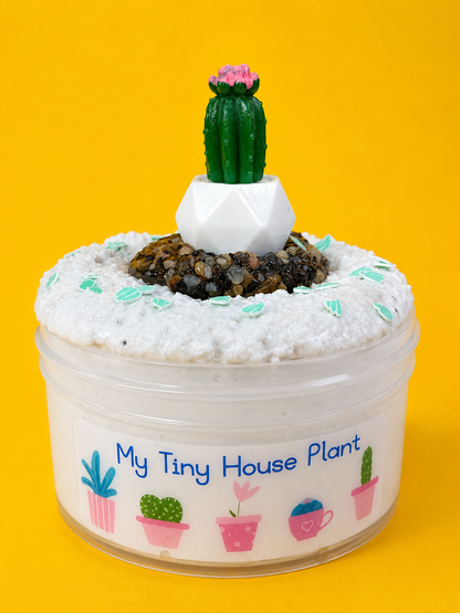 My Tiny House Plant