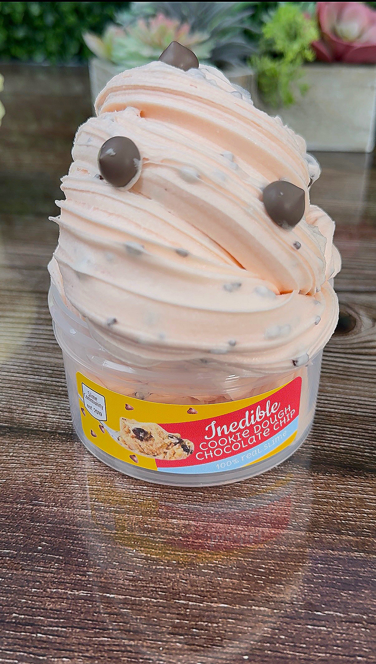 Inedible Cookie Dough-Chocolate Chip
