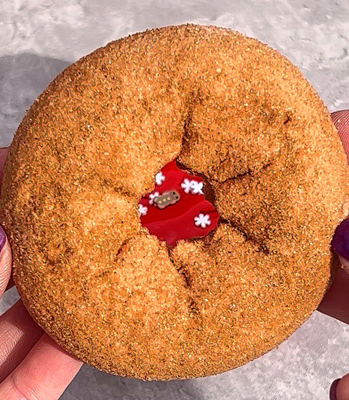 Apple Cinnamon Cider Donuts