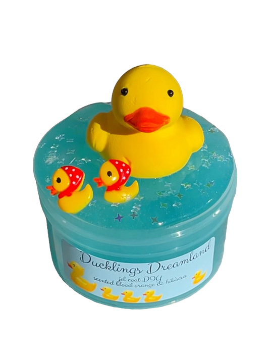 Ducklings Dreamland