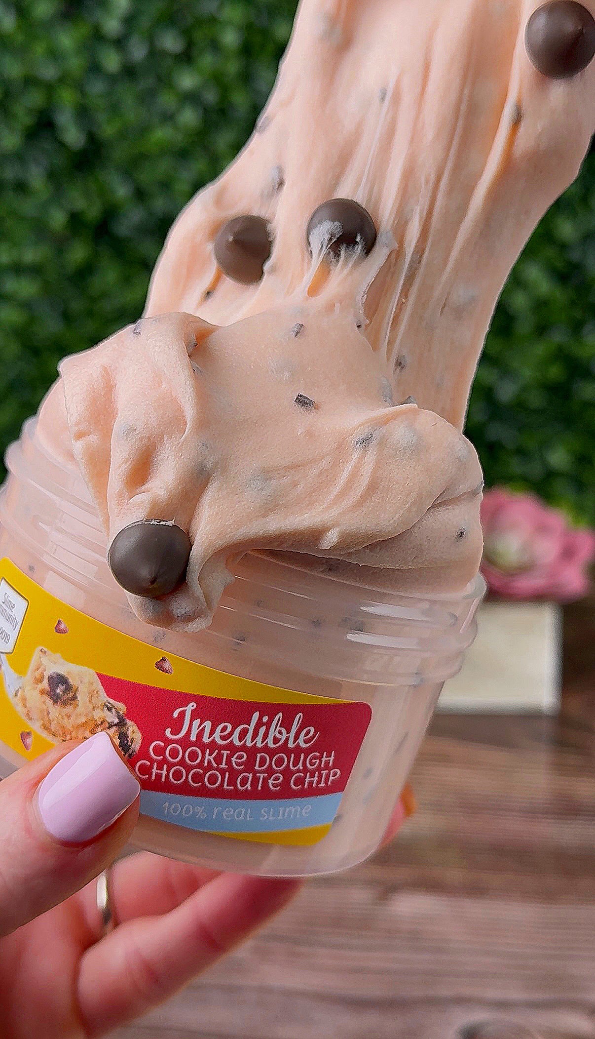 Inedible Cookie Dough-Chocolate Chip