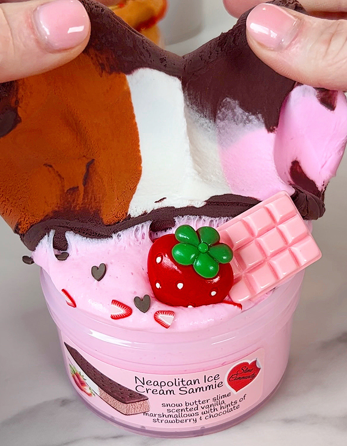 Neapolitan Ice cream Sammie