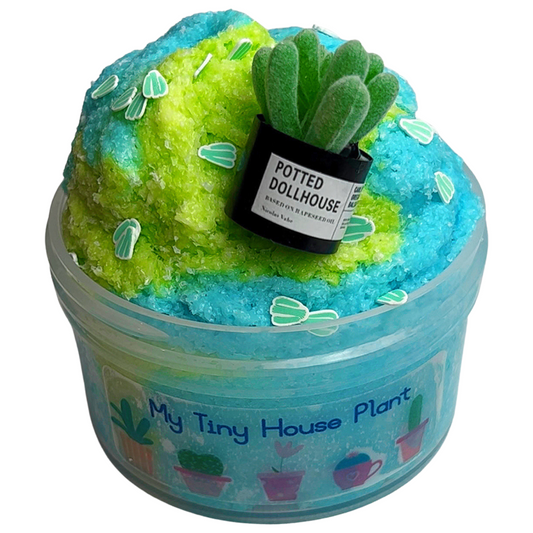 My Tiny House Plant